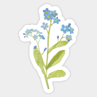 Forget me not Sticker